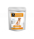 Croquette Essentielle Premium Chien Adulte