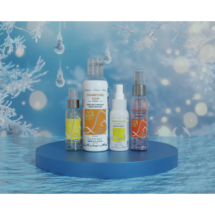 Coffret de Noel Lady Velours