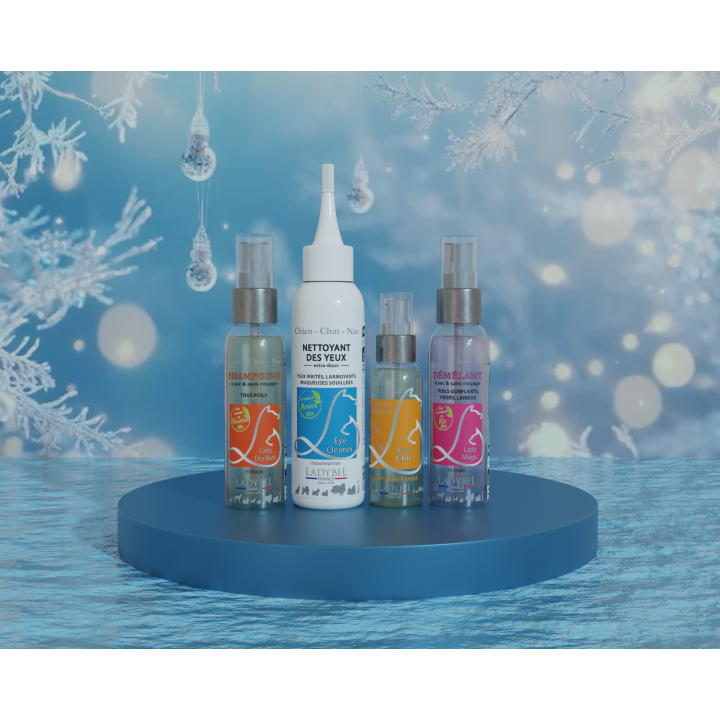 Coffret de Noel Lady Brillance