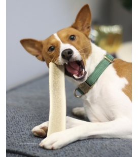 Bois de cerf tranché Recettes de Daniel