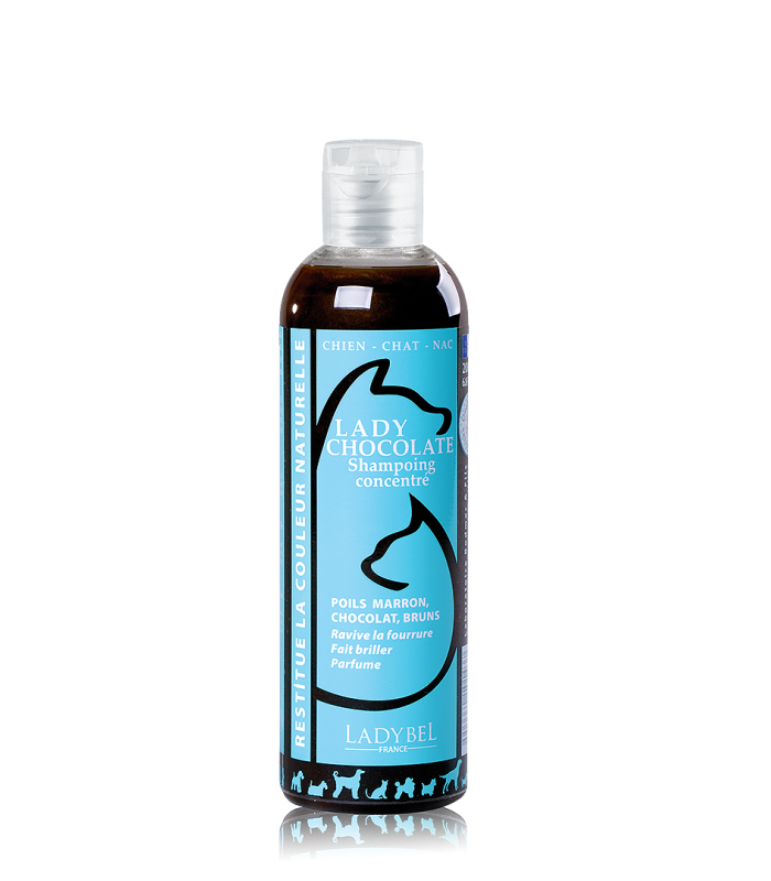 LADY CHOCOLATE Shampoo Ladybel