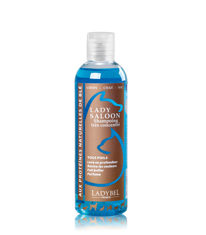 LADY SALOON Shampoo Ladybel