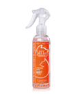 LADY DRY Sprühshampoo