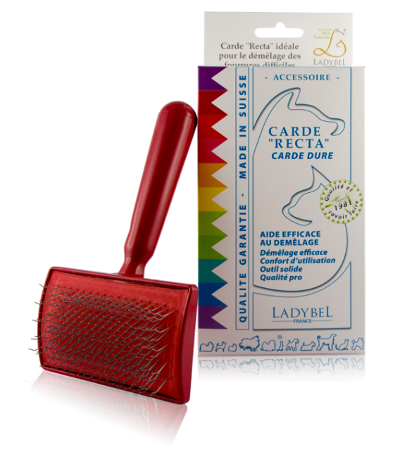 CARDE RECTA Professional Brush