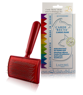 CARDE RECTA Professional Brush