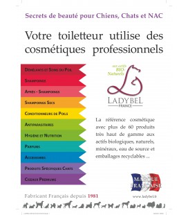 CHEVALET DE COMPTOIR : Advertisment Professional Products