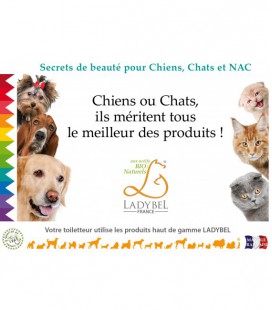 CHEVALET DE COMPTOIR Werbung Hund Katze