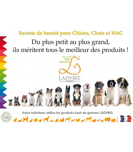 CHEVALET DE COMPTOIR Advertisment Dog