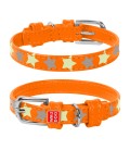 Collier Waudog Glamour Star