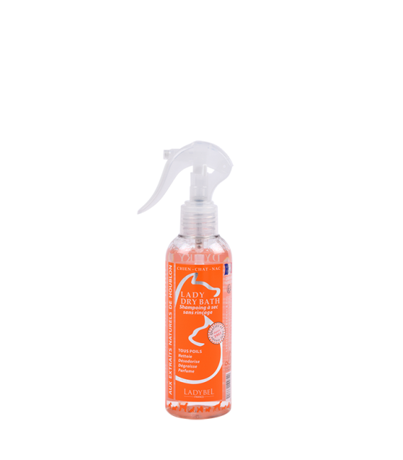 LADY DRY BATH Leave-in Shampoo Lotion