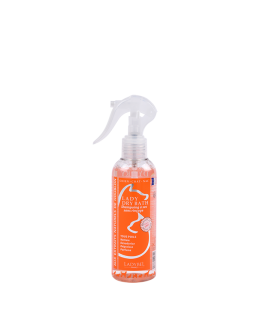 LADY DRY BATH Shampoing sec