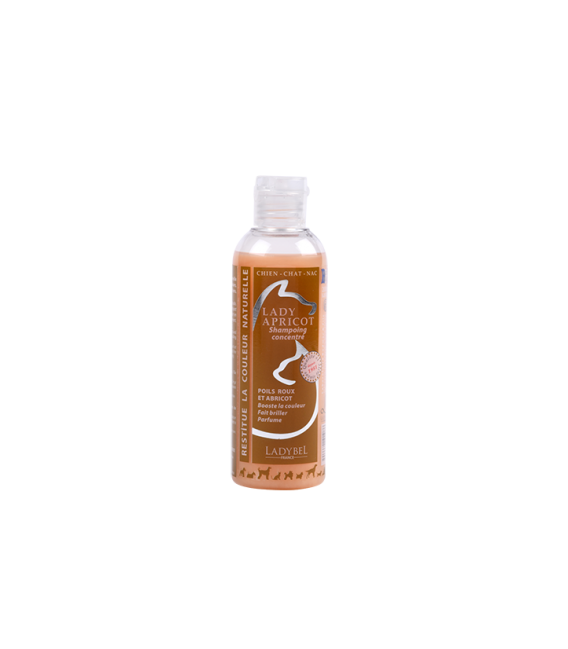 LADY APRICOT Shampoo Color