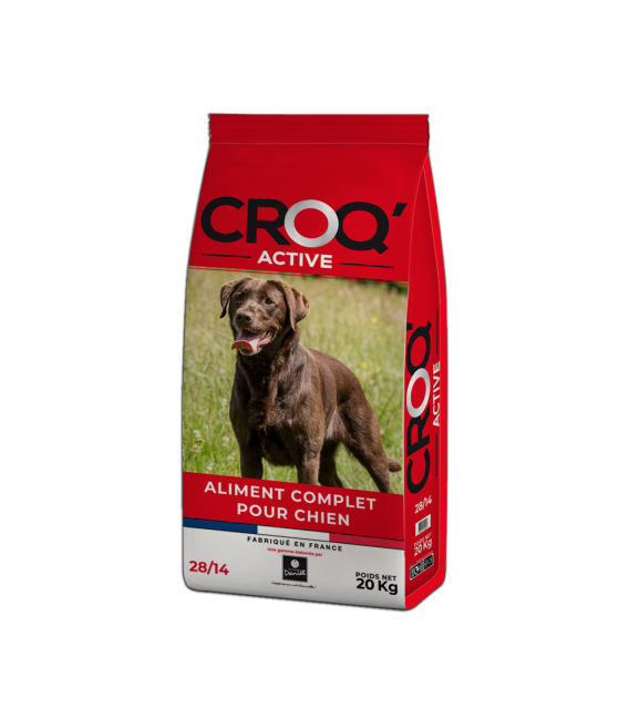 Croquette Croq'Active Chien