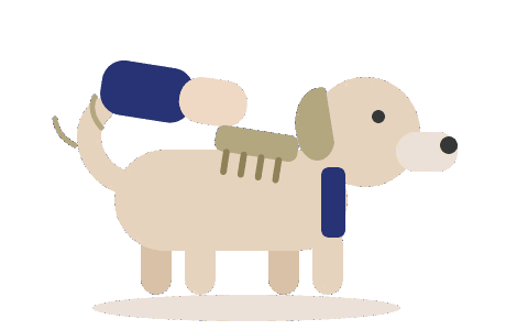Une main qui brosse &agrave; sec le dos d'un chien avec une brosse &agrave; picots