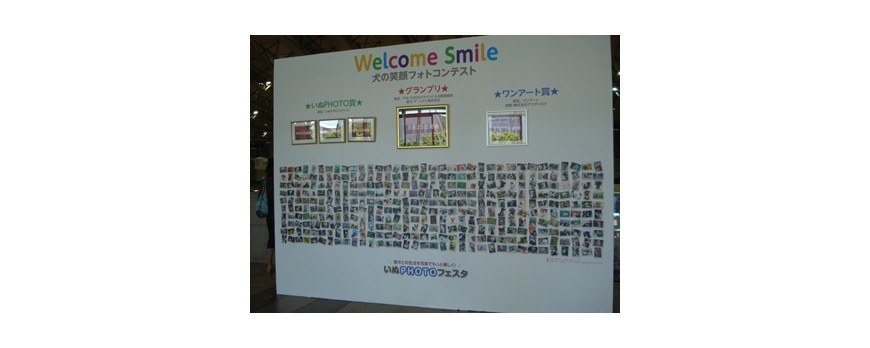 Interpets Japon 2012 