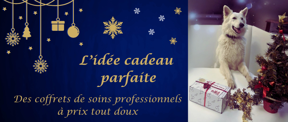 Coffrets de Noël à prix tout doux