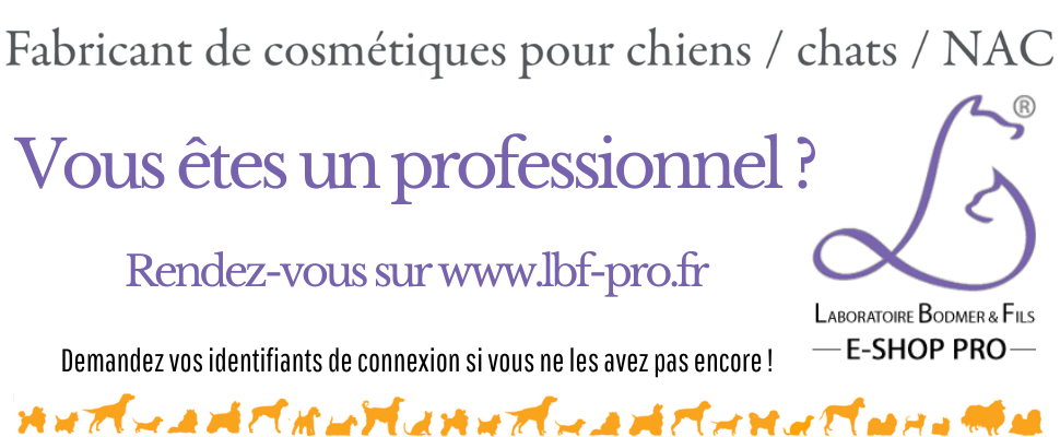 vous êtes un pro ?